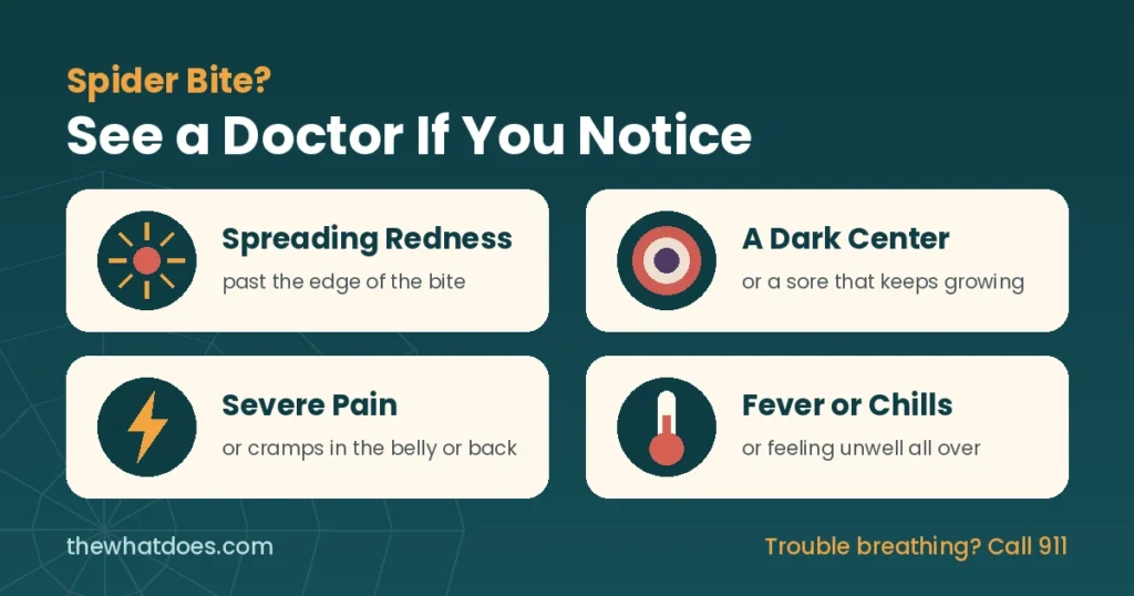 Doctor Need In Spider Bite