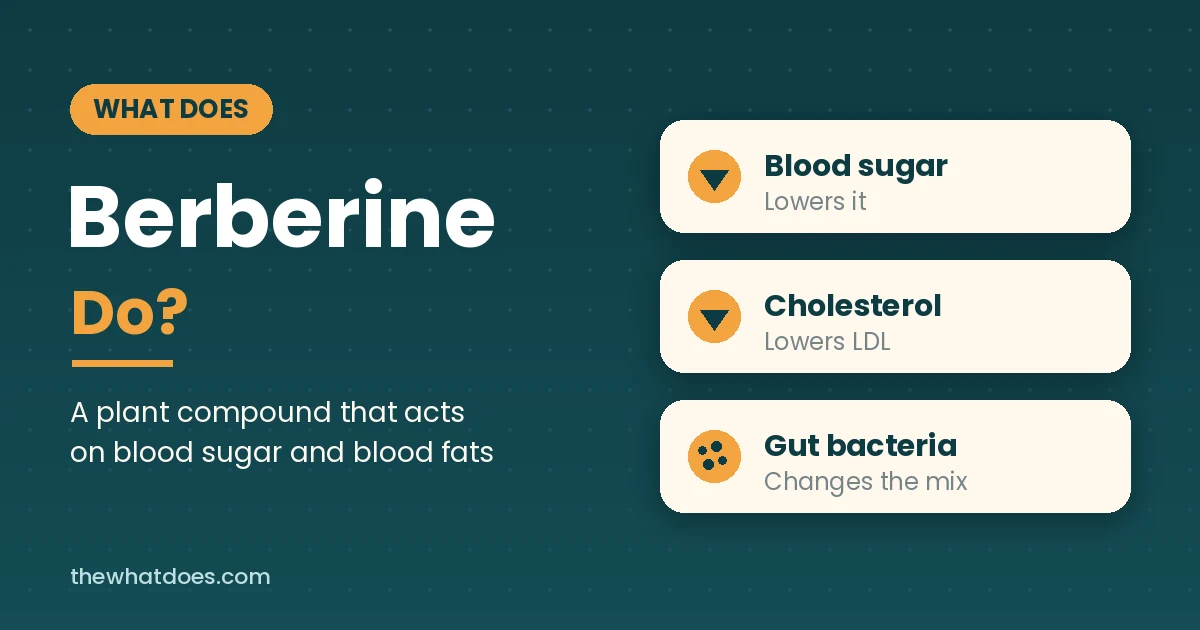 Explainer card showing what berberine does in the body